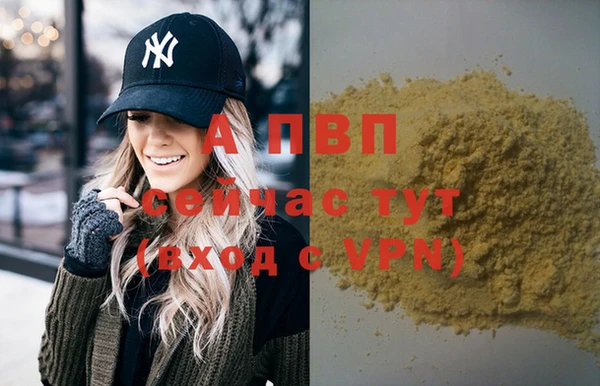 PSILOCYBIN Дмитров
