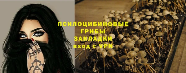мдма Елизово