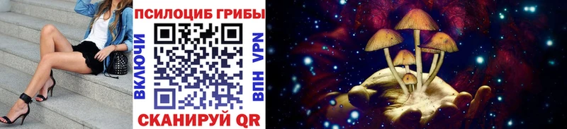 Псилоцибиновые грибы Psilocybine cubensis  Иланский 