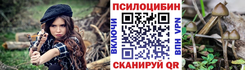 Галлюциногенные грибы Magic Shrooms Иланский